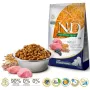 FARMINA N&D Ancestral Grain Puppy Medium&Maxi Lamb - sausā suņu barība - 12 kg