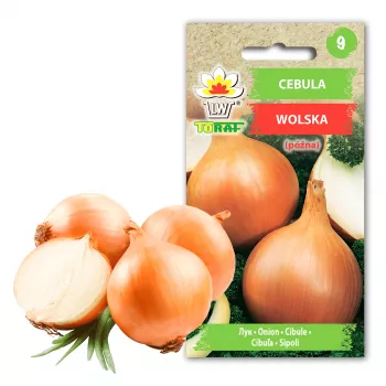 Wolska Onion Toraf dārzeņu sēklas, 5g iepakojums