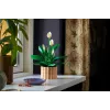 LEGO BOTANICALS 11504 Miera Lilija