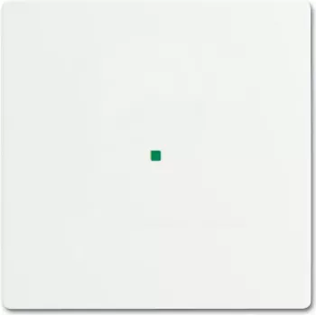 Busch-Jaeger 2CKA006220A0481 vāka plāksne sensoru turētājam un kontaktligzdai, balta (2CKA006220A0481)