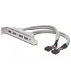 Slot Bracket kabelis USB 2.0 HighSpeed Type 2xIDC (5pin)/4xUSB A M/F pelēks 0,25m