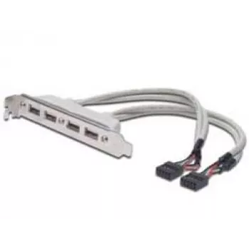 Slot Bracket kabelis USB 2.0 HighSpeed Type 2xIDC (5pin)/4xUSB A M/F pelēks 0,25m