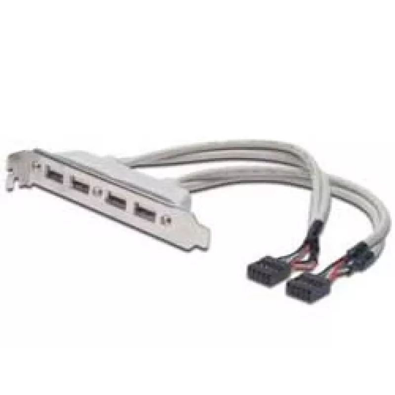 Slot Bracket kabelis USB 2.0 HighSpeed Type 2xIDC (5pin)/4xUSB A M/F pelēks 0,25m