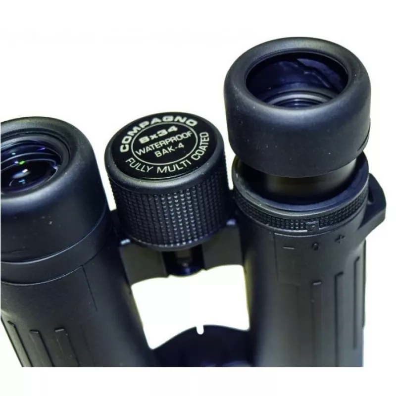 Binoklis Braun Photo Technik Compagno 10x34 WP BaK-4 Melns