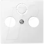 Sienas plāksne / slēdža pārsegs Merten 297519 — balts termoplasts, vienvietīgs