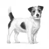 Sausā suņu barība Royal Canin Gastrointestinal Low Fat Small 3,5 kg — veterinārā diēta maziem pieaugušiem suņiem, zems tauku saturs 7%, olbaltumvielas 22%