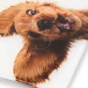 Zelmer ZBS1010 baltie svari ZBS1010 Dog ZELMER