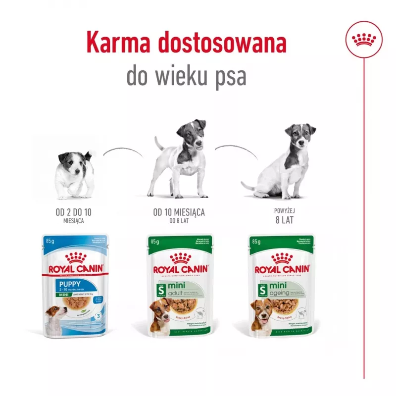 Mitrā suņu barība Royal Canin Mini Ageing 12+ Adult paciņā 85 g — mazām šķirnēm, mājputnu, senioriem
