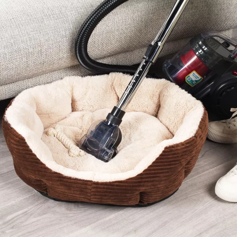 Putekļsūcējs Beldray BEL0700TBVDE Compact Pet Plus