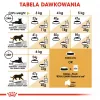Sausā kaķu barība Royal Canin Persian 4 kg — pieaugušiem persiešiem, vista, 30% olbaltumvielu, 22% tauku
