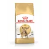 Sausā kaķu barība Royal Canin Bengal Adult 10 kg — vista, 40% olbaltumvielu, 18% tauku