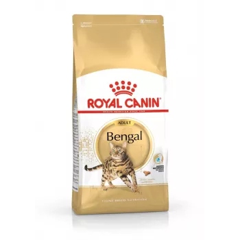 Sausā kaķu barība Royal Canin Bengal Adult 10 kg — vista, 40% olbaltumvielu, 18% tauku