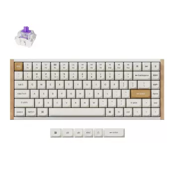 Bezvadu mehāniskā tastatūra Keychron K2 Special Edition balta RGB fona apgaismojums, kompakts 75% izkārtojums