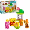 LEGO DUPLO 10457 Vinnija Pūka dzimšanas dienas ballīte