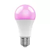 Viedā spuldzīte WOOX R9077