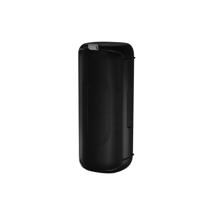 Stereo portatīvais skaļrunis Audictus Aurora Pro 20 W