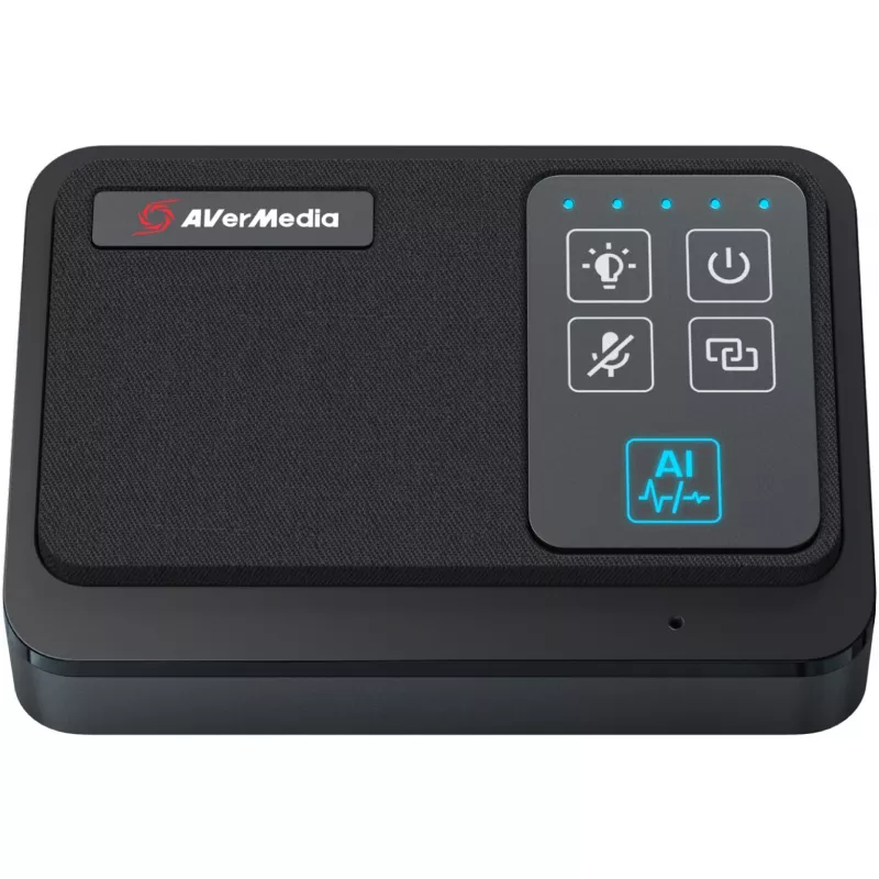 AVer bezvadu mikrofona komplekts PA511D AW111 (61AW111000AB)
