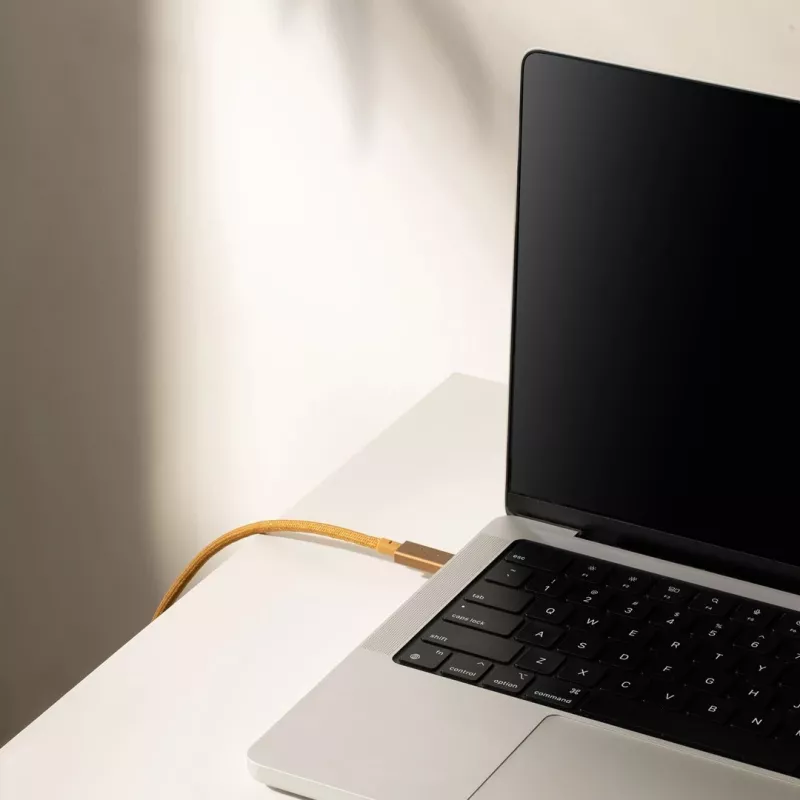 Kabelis USB-C uz USB-C Native Union Belt kabelis Pro 240W, 2,4 m, USB 2.0, 0,48 Gbit/s, zaļš