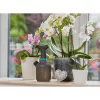 Rokas dārza smidzinātājs Gardena 11112-20