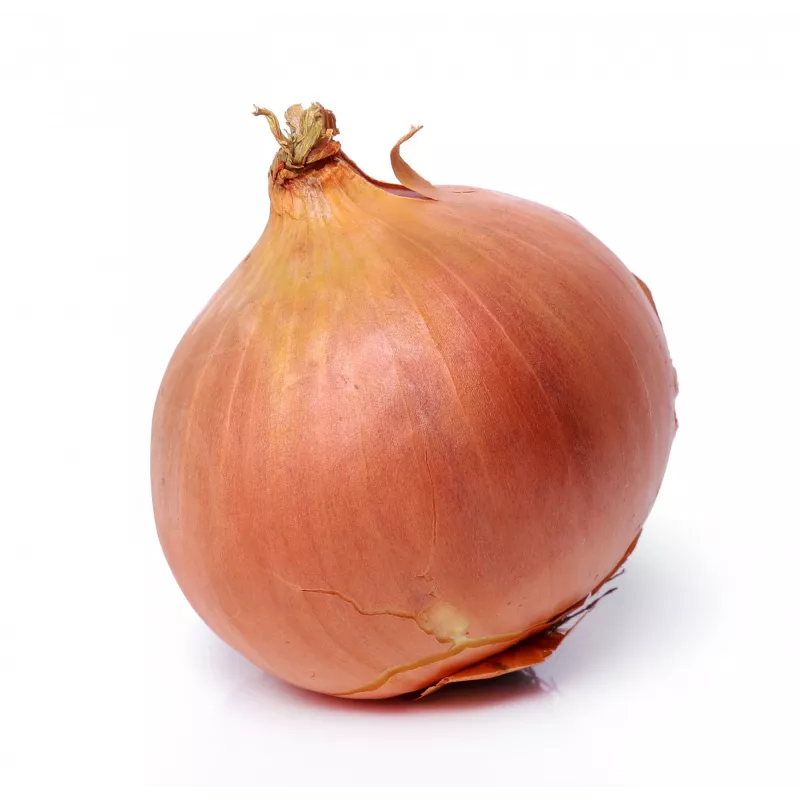 Wolska Onion Toraf dārzeņu sēklas, 5g iepakojums