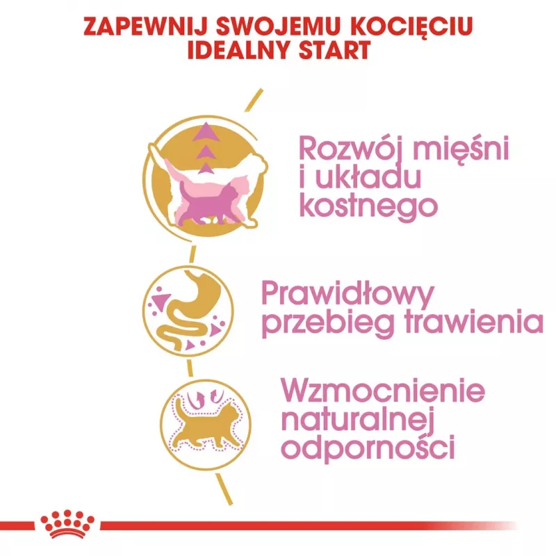 Sausā kaķu barība Royal Canin British Shorthair Kitten 2 kg – vista, 38% olbaltumvielu, 20% tauku, augšanas formula