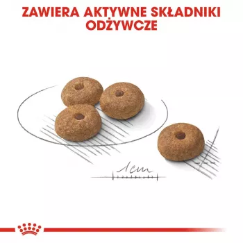 Sausā suņu barība Royal Canin MINI Sterilised — Pieaugušiem mazu šķirņu suņiem 8 kg, Vista, Zobu aprūpe, Svara kontrole