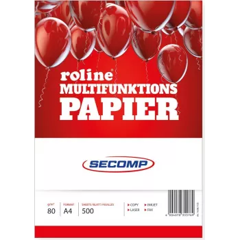 Drukas papīrs ROLINE 16061125 A4 500 loksnes Balts