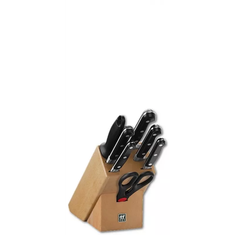 Nažu komplekts blokā Zwilling Professional S