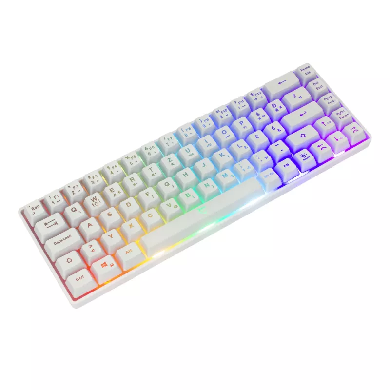 Klaviatūra White Shark RONIN balta USB QWERTY 68 taustiņi LED