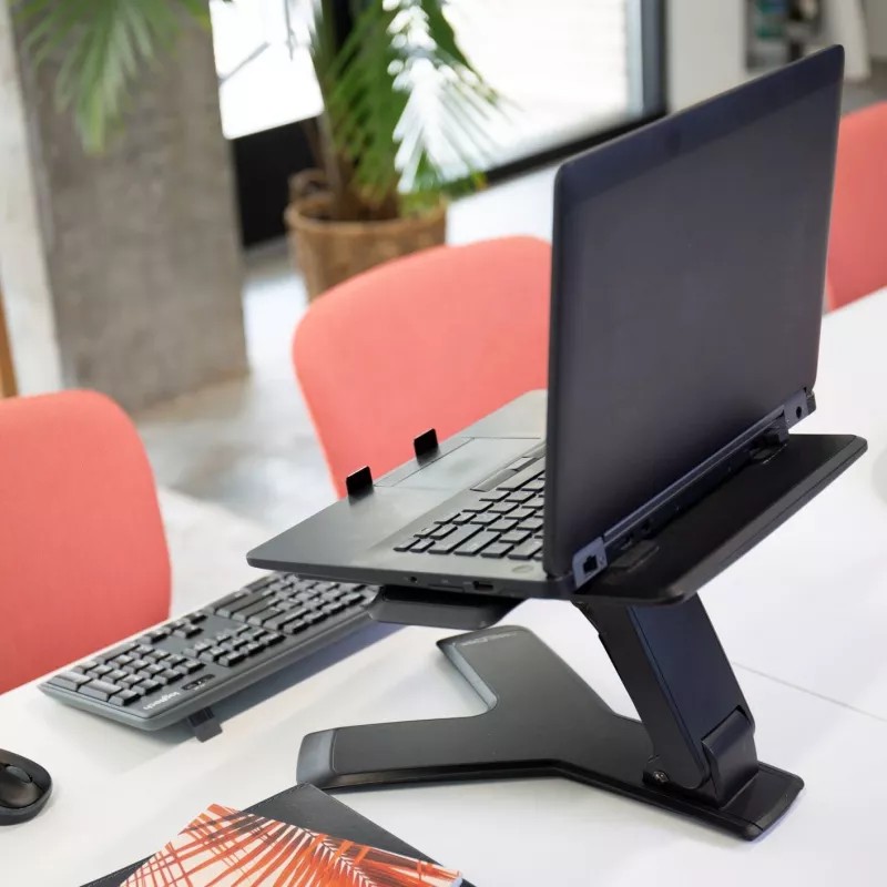 Portatīvā datora statīvs Ergotron Neo-Flex™ Notebook Lift Stand Melns