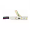 Synergy 21 LED Flex Strip 5050 - 60 RGB DC24V + RGB-W vienas mikroshēmas silts balts IP68