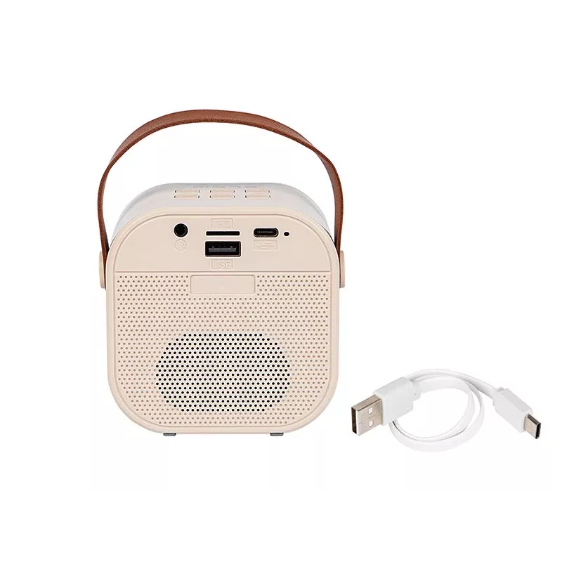 Karaoke skaļrunis, KARAOKE RGB Bluetooth skaļrunis, 30W