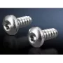 Skrūvju komplekts Rittal 2486.600 — sešstūra ligzdas skrūves lokšņu metālam, Ø 5,5 mm, vītnes garums 13 mm, 300 gab.