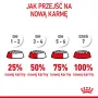 Sausā suņu barība Royal Canin Starter Mother & Babydog 1 kg — vistas garša, 30% olbaltumvielu, 22% tauku