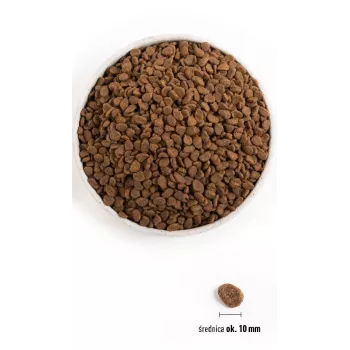 ORIJEN Six Fish Cat - sausā kaķu barība - 5,4kg