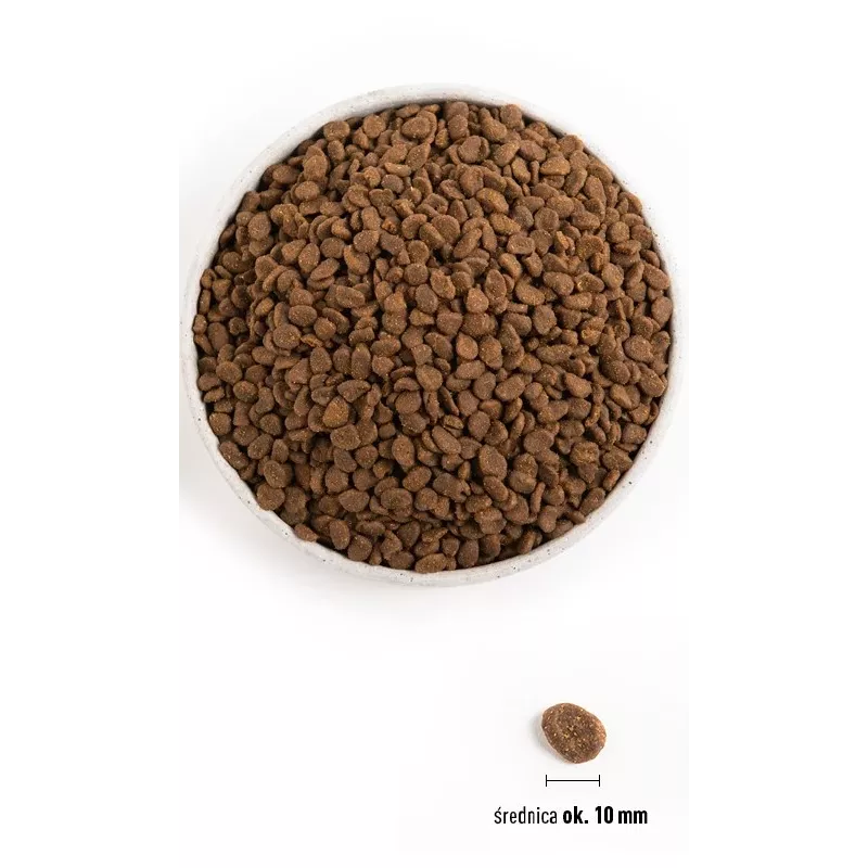 ORIJEN Six Fish Cat - sausā kaķu barība - 5,4kg