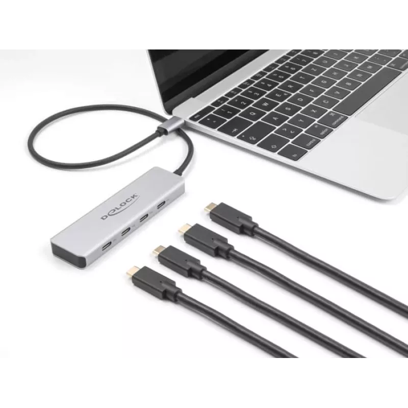 DeLOCK USB Type-C centrmezgls 10 Gbps 4 porti alumīnija pelēks