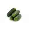 Wisconsin Cucumber SMR 58 Toraf dārzeņu sēklas, 5g iepakojums