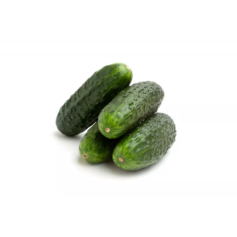 Wisconsin Cucumber SMR 58 Toraf dārzeņu sēklas, 5g iepakojums