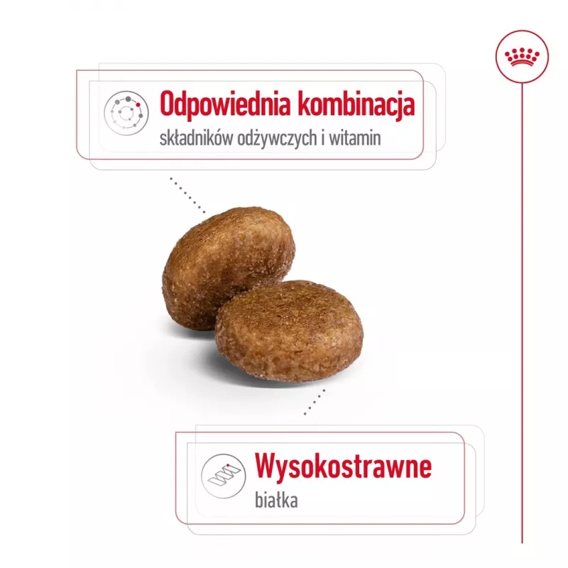 Sausā suņu barība Royal Canin Maxi Adult 5+ 15 kg — vista, Olbaltumvielas 26%, Tauki 17%