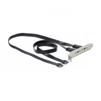 Slota kronšteins DeLOCK 89935 ar 2 USB Type-C portiem