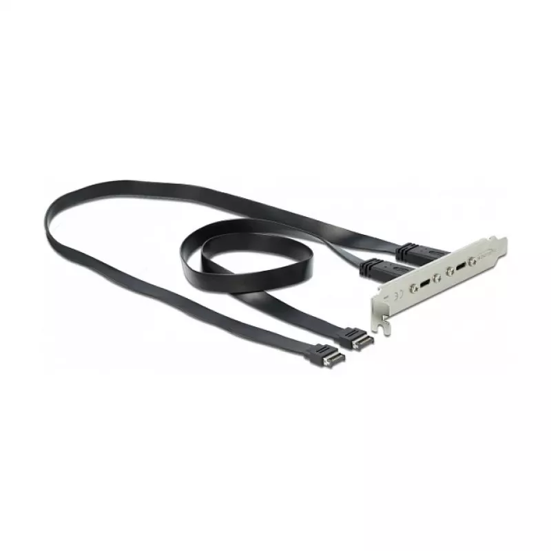 Slota kronšteins DeLOCK 89935 ar 2 USB Type-C portiem