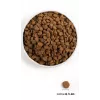 ORIJEN Dog Oriģināls - sausā suņu barība - 2kg