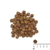 Sausā suņu barība VETEXPERT Raw Paleo Healthy Grain Puppy laša un miežu 10 kg, proteīns 29% tauki 17% mitrums 9%