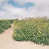 35 mm krāsu negatīvā filma GT Photo GT24FILM ISO 200, 24 kadri