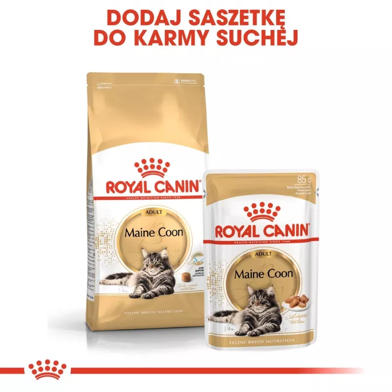 Sausā kaķu barība Royal Canin Maine Coon Adult 10 kg — mājputnu gaļa (vista), 31% olbaltumvielu, 20% tauku