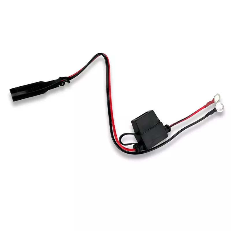 Auto akumulatoru lādētājs everActive CBC1 6V/12V