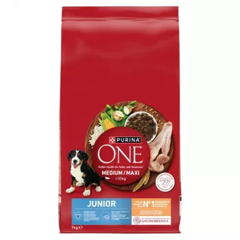 PURINA ONE MED/MAX Junior vistas gaļa & rīsi 7kg