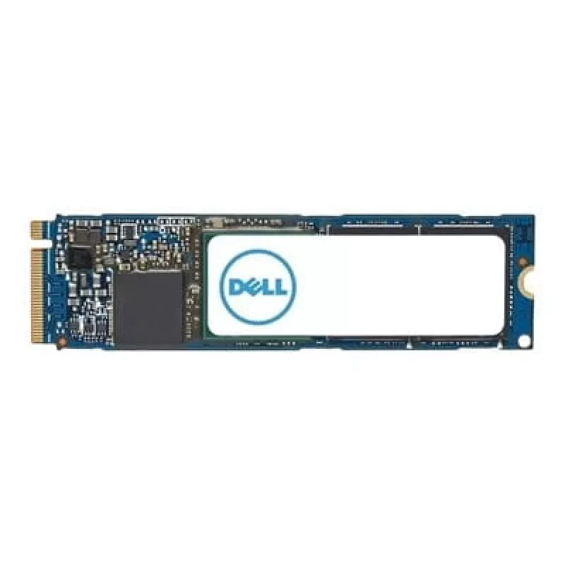 DELL AC037409 iekšējais cietvielu disks 1 TB M.2 PCI Express 4.0 NVMe