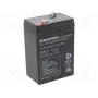 Svina-skābes uzlādējams akumulators europower EP4.5-6 6V 4.5Ah